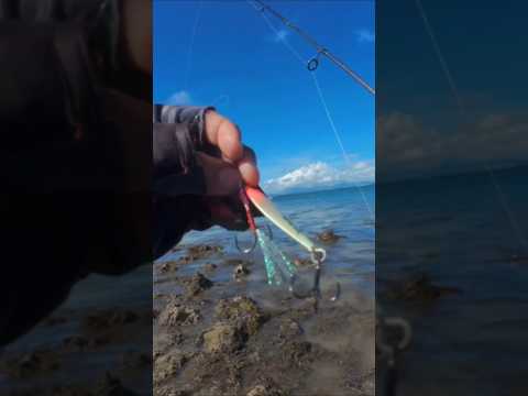 Micro jigging on shore #fishing #shorecastingphilippines