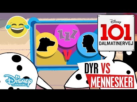 Dalmatinervej 101 | Dyr vs Mennesker: Afslapning 💤- Disney Channel Danmark