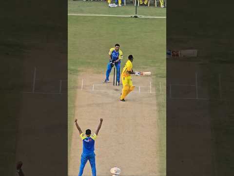 Reel tagged #cricket