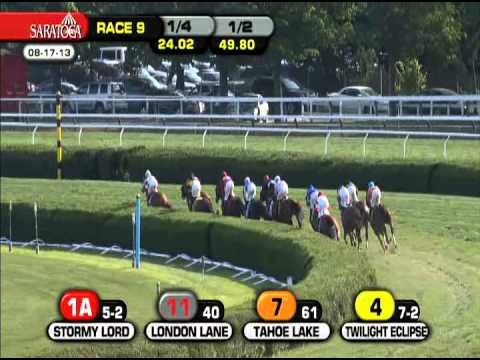 Big Blue Kitten - 2013 Sword Dancer S. (G1)