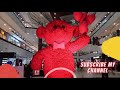 Teddy Bear Teddy Bear Video Flower Teddy Bear