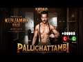 Pallichattambi Pattel Kunjambu Nambiar Intro Tovino Kaydu Lohar Prithviraj Pallichattambi