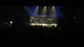 White Wizzard - 40 deuces