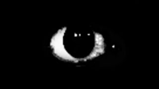 Cover art for so really really so really good