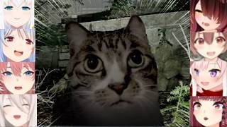 Hololive Girls Reaction To Cat Jumpscare *cute* (Japan Stigmatized Property)