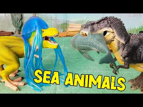 SEA CREATURES 🐋 Arex and Vastatore play with them!