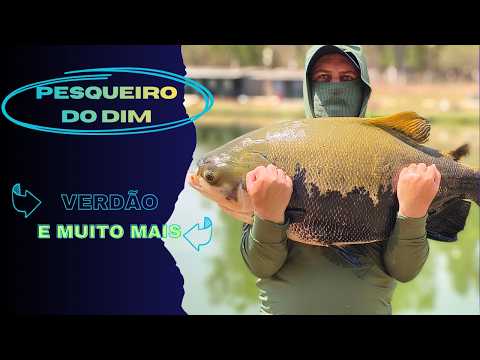 VERDÃO 20+ no Pesqueiro do DIM em Jaraguá GO + Tambacus e Pirararas