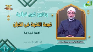 قيمة الأخوة فى القرآن ح 6 قيم قرآنية دكتور محمد عبد رب النبى حسيب