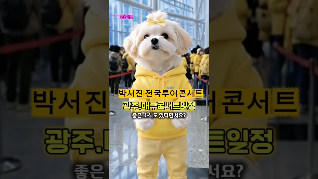 박서진💛콘서트보러가요😁광주,대구콘서트 일정💕