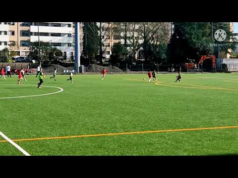 Salgueiros 3 - 4 SCP Solar Norte