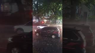 Download lagu video buat story wa, taman suropati Jakarta pusat #videobuatstorywa #storywa #tamansuropati #jakarta mp3 Download lagu video buat story wa, taman suropati Jakarta pusat #videobuatstorywa #storywa #tamansuropati #jakarta mp3