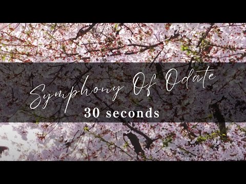 【大館市PR動画】Symphony Of Odate（30秒版）