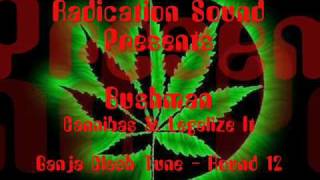 Ganja Tune Clash - Bushman - Cannabis & Legalize It - Radication Sound - Round 12