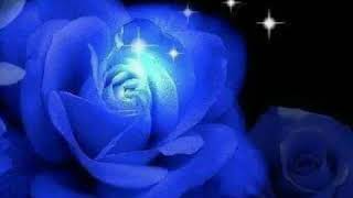 玫瑰香 （唱：Blue 蓝彩虹)