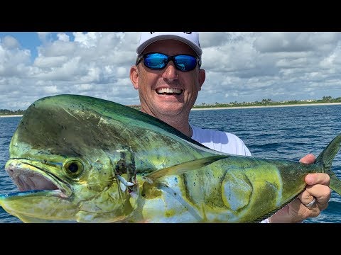 download lagu mp3 mp4 Deer Meat For Dinner, download lagu Deer Meat For Dinner gratis, unduh video klip Deer Meat For Dinner