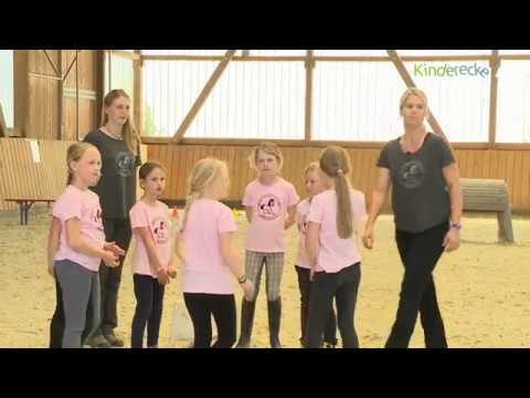 Pferdefarben kunterbunt - Pferdeliebe von Anfang | Nicole Holland-Nell