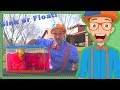 Sink Or Float With Blippi Fun Science Videos For Kids