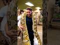 Python Snakes Unleashing The Slithering Secrets RevealTheMysteries PythonSnakes101 Viral