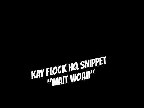 Kay Flock x Justo Gusto - wait woah (Unreleased) #kayflock #doa #nydrill #bronxdrill #youtubeshorts