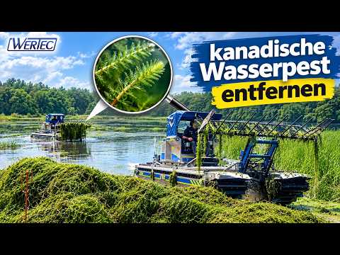 Klare Gewässer Wertec GmbH YouTube-Vdeominiatur 8