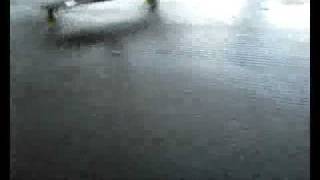 French Horn Rebellion - Brasilia Girl