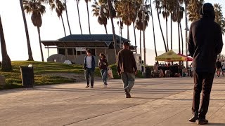 Daisy pregnant / Venice sunset