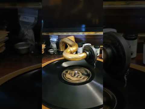 Back in Your Own Backyard - Harold Rodman (Irving Kaufman) Diva Records #2569 1928