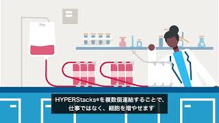 動画のサムネイル