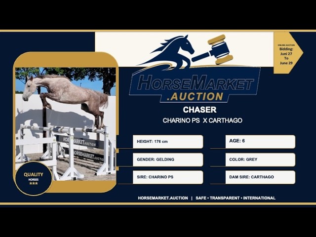 Chaser