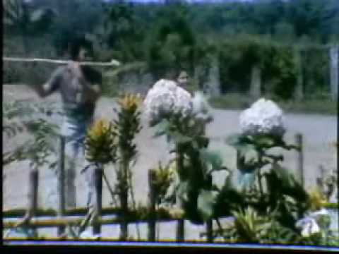 RHOMA irama - Primadona Desa