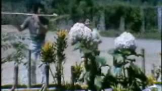 Download lagu RHOMA irama - Primadona Desa mp3 Download lagu RHOMA irama - Primadona Desa mp3