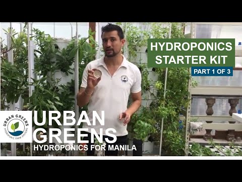 download lagu mp3 mp4 Urban Greens Microgreens Windowsill Kit, download lagu Urban Greens Microgreens Windowsill Kit gratis, unduh video klip Urban Greens Microgreens Windowsill Kit