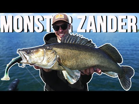 Riesenzander beim Hechtangeln |Mission Meter Vol. 2| Pikefishingcrew