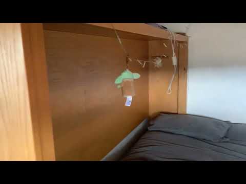 Dutch Barge HOUSE BOAT conversion  - Boatshed - Boat Ref#311104