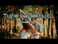 Tujhe Na Dekhu To Chain Song Lofi Song Slowed And Reverb Song