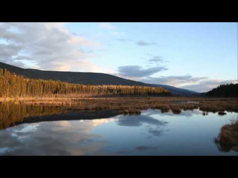 First & André - Cruiser (Alex M.O.R.P.H. ReMix)