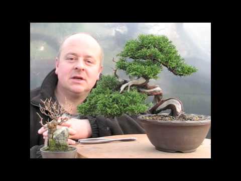 Shohin Bonsai Demonstration by Graham Potter