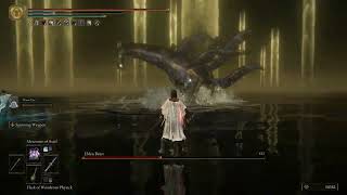 Elden Beast Glitched Grab Attack!