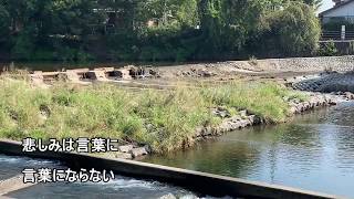 ザ フォーク クルセダーズ 悲しみは言葉にならない 歌詞付き カバー 加藤和彦さん追悼 Chords Chordify