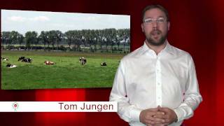 Nationale Futballstadion: De Buergermeeschter op der LSAP Réiserbann News TV (Video)