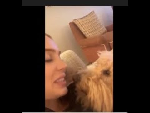 This Youtuber DELETES THIS video of her KISSING HER DOG This is gross ▶0:25