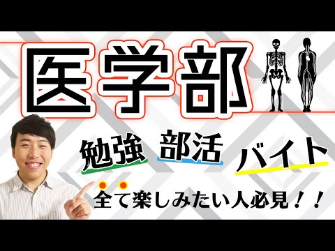 法政経学科 【医学部】医学部ってどんなところ？現役千葉大医学部生に聞いてみた！