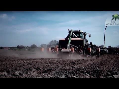 147.Feldexkursion: Blattkrankheiten und Sommerungen;  NU Agrar, 08.04.2020