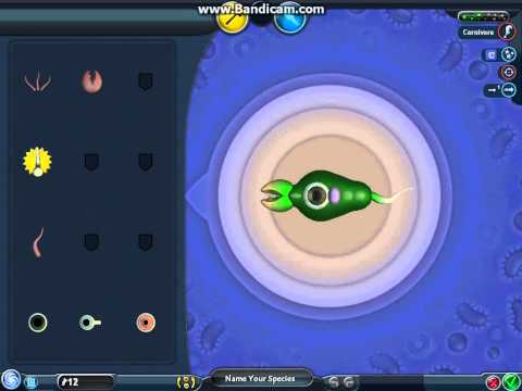 spore Let's play episode 1 - greedy cells
