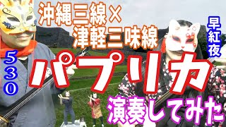 【津軽×沖縄】パプリカ【三味線】