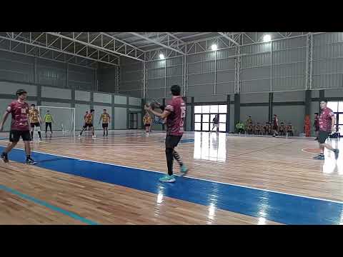 Alianza - Saujil Handball  (Masculino)