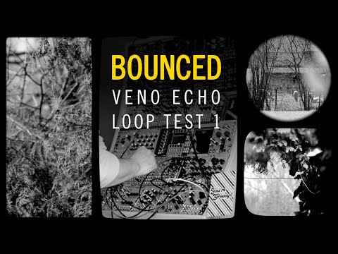 BOUNCED / Venus Instruments VENO-ECHO / as a looper / also some PHONOGENE / not a tutorial