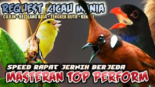 Download lagu TOP PERFORM‼️MASTERAM WAJIB PILIHAN JURI CILILIN BELALANG RAJA KENARI TENGKEK BUTO | MASTERAN MURAI mp3 Download lagu TOP PERFORM‼️MASTERAM WAJIB PILIHAN JURI CILILIN BELALANG RAJA KENARI TENGKEK BUTO | MASTERAN MURAI mp3