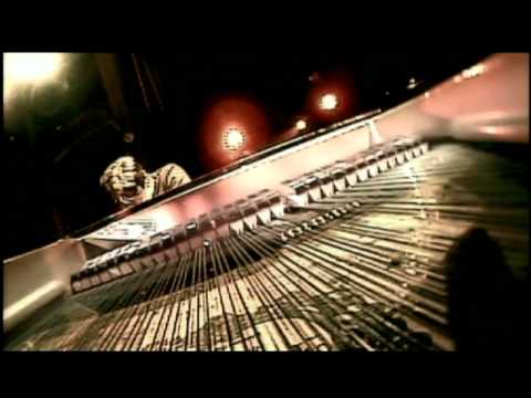 Vítor Araújo - Asa Branca