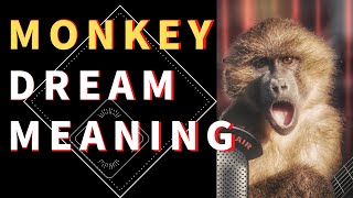 Dream about Monkey: interpretation and meaning. what do dreams mean?Decoding Your  Monkey Dreams